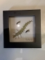 Preview: Wanduhr mit Fliegenmuster