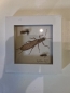 Preview: Wanduhr mit Fliegenmuster