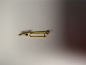 Preview: Brooch Pins (Schmuckfliegen)