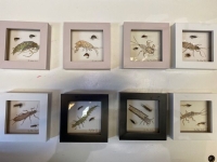 Bilderrahmen klein mit Fliegenmuster
