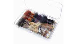 Forellenstreamer-Set mit 17 handverlesenen Fliegen in robuster Klarsichtbox