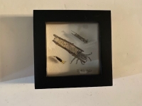 Wanduhr mit Fliegenmuster