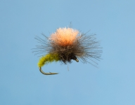 Fliege