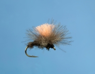 Fliege
