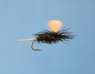 Fliege