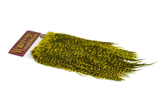 Coq de Leon Bronze Saddle dyed yellow