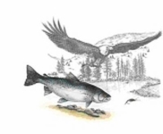 Kunstdruck Eagles Prey