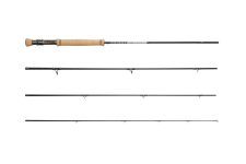 Primal-Revel Bach-Set
