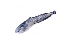 Stofffische-Dekofische