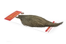 Whiting Hahnenskalb Grade Bronze
