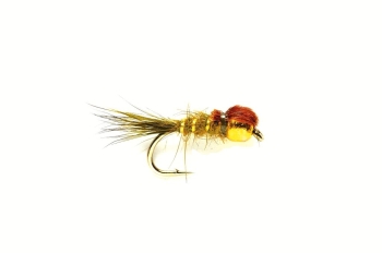 Goldkopfnymphe