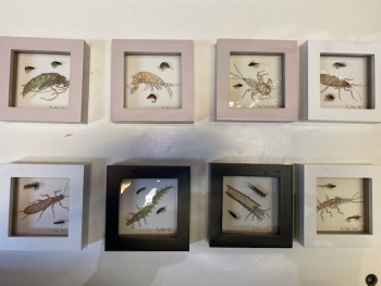 Bilderrahmen klein mit Fliegenmuster