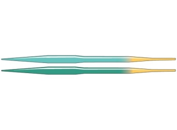 Guideline Coastal Evolve WF