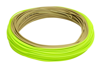 Rio Gold XP (Neu 2025)