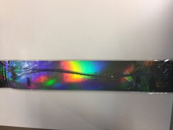Raubfischvorfach Tungsten/Wolfram Set