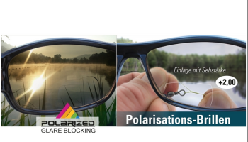 Polarisations-Brille mit optischem Seh- und Lesefeld