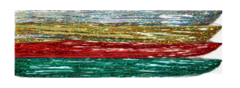 Holographic Fiber Set