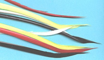 Biots