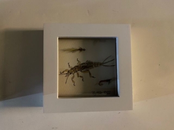 Wanduhr mit Fliegenmuster