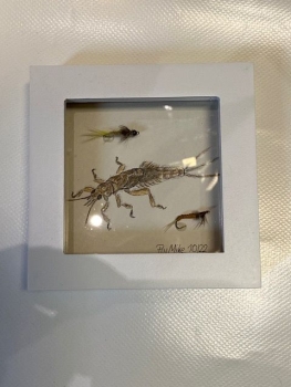 Wanduhr mit Fliegenmuster