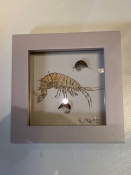 Wanduhr mit Fliegenmuster