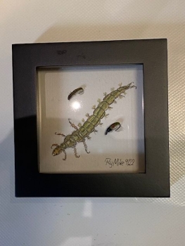 Wanduhr mit Fliegenmuster