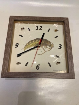 Wanduhr mit Fliegenmuster