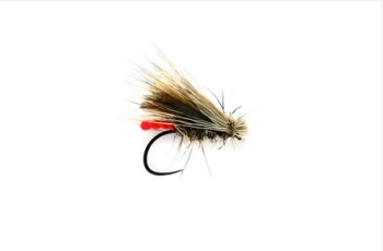 Caddis Red-Tag