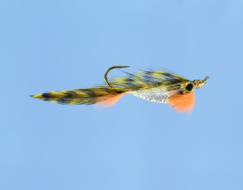 Fliege