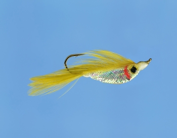 Fliege