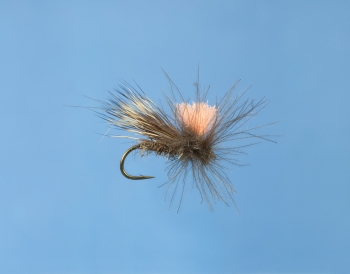 Catchy Flies CF10