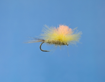 Fliege
