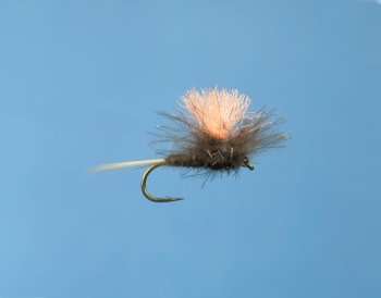 Fliege