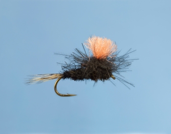 Fliege