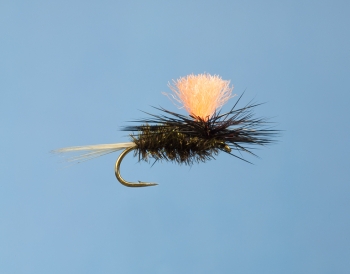 Fliege