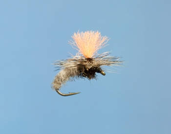 Fliege