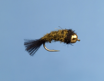 Fliege