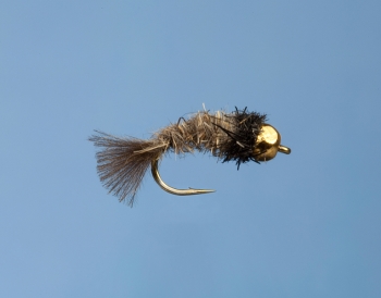 Fliege