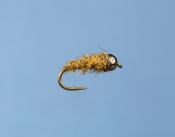 Fliege