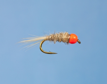 Fliege