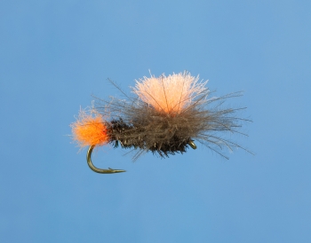 Fliege