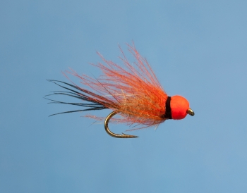 Fliege