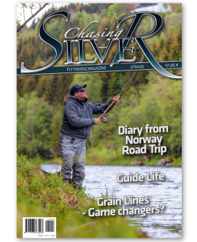 Chasing Silver