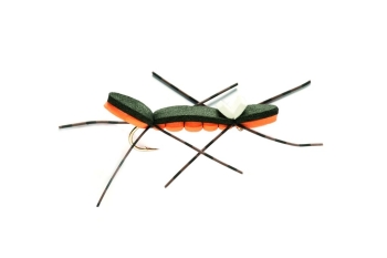 Chernobyl Ant