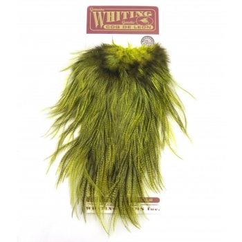 Whiting Coq de Leon Predator Pack "Silver"