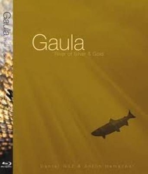 Gaula-River of silver and gold