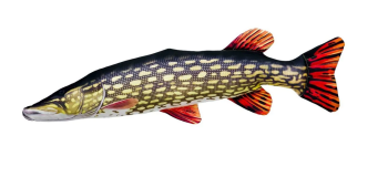 Stofffische-Dekofische