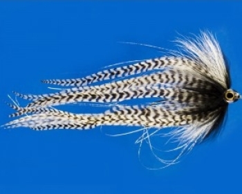 Hechtfliegen