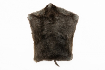 Maulwurf (Mole)