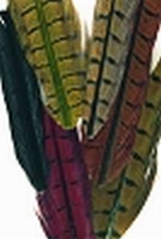 Pheasant Tail Mix